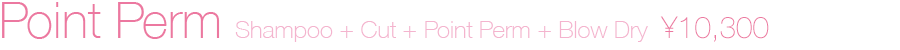 Point Perm